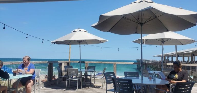 areas in shade and sun 1 768x364