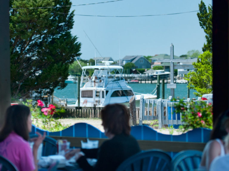 overlooking the harbor 1 768x574
